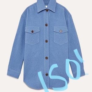 Aritzia ganna jacket